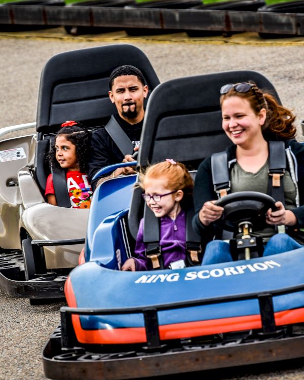 People riding go-karts at an amusement park, with a woman and child in the foreground and another group in the background, all smiling.